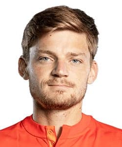 David Goffin